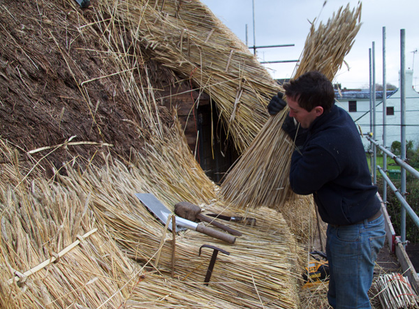 Long Straw Thatch  Thatching Info.com